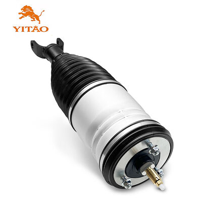 Van de de Luchtopschorting van de Schokbrekervervaardiging de Stut Front For Dodge Ram 1500 Opschorting 4877146AA 4877146AB 4877147AA